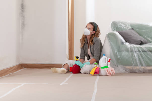 Trusted Black Mold Removal service in Emerson, NJ - WQB Mold Removal